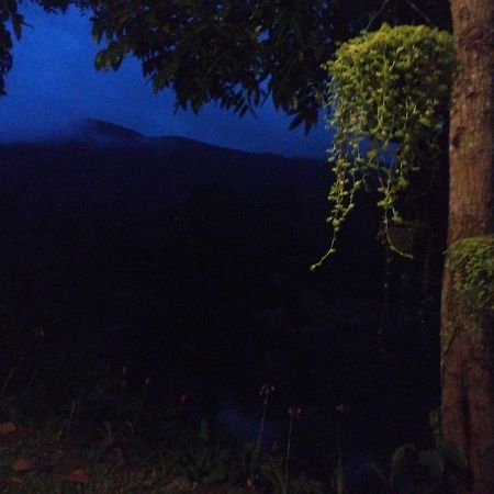 Evergreen Villa - Sinharaja デニヤヤ エクステリア 写真