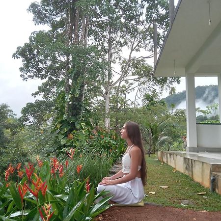 Evergreen Villa - Sinharaja デニヤヤ エクステリア 写真