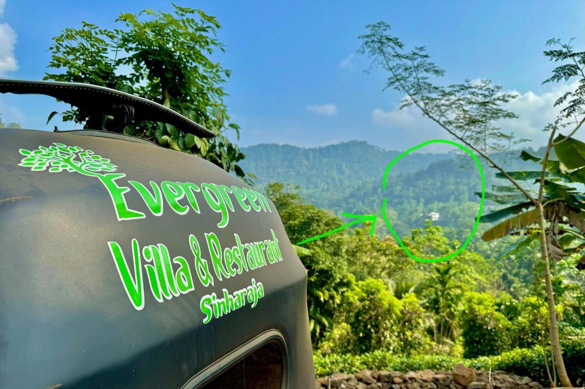 Evergreen Villa - Sinharaja デニヤヤ エクステリア 写真