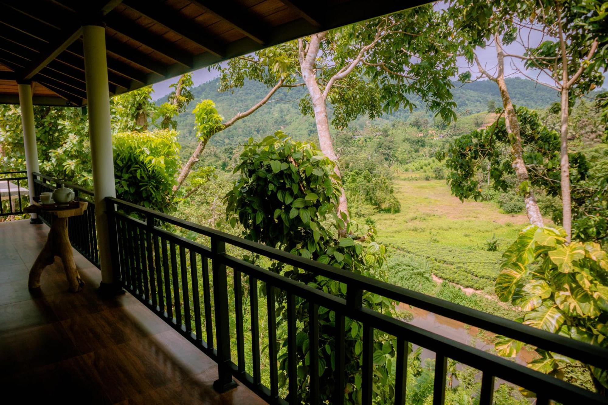 Evergreen Villa - Sinharaja デニヤヤ エクステリア 写真