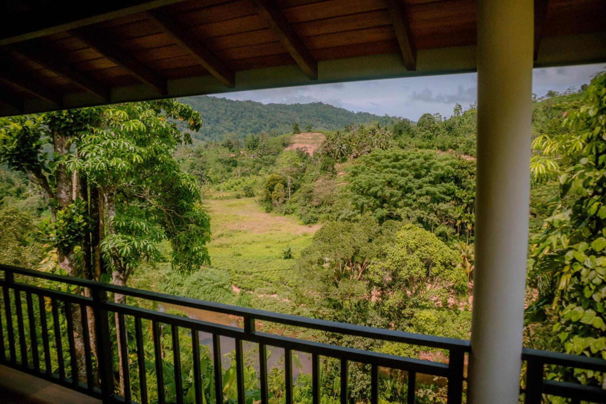 Evergreen Villa - Sinharaja デニヤヤ エクステリア 写真