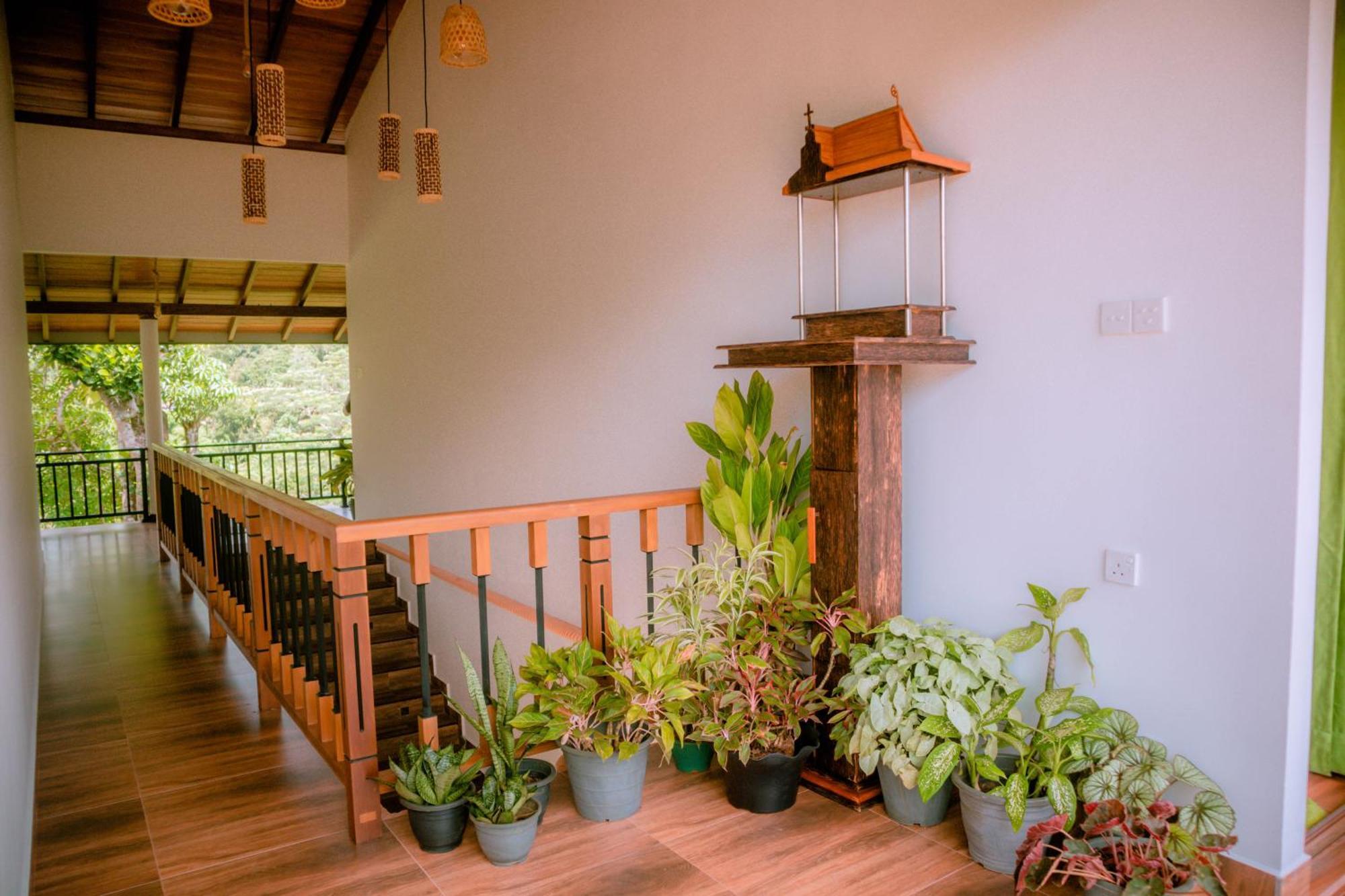 Evergreen Villa - Sinharaja デニヤヤ エクステリア 写真