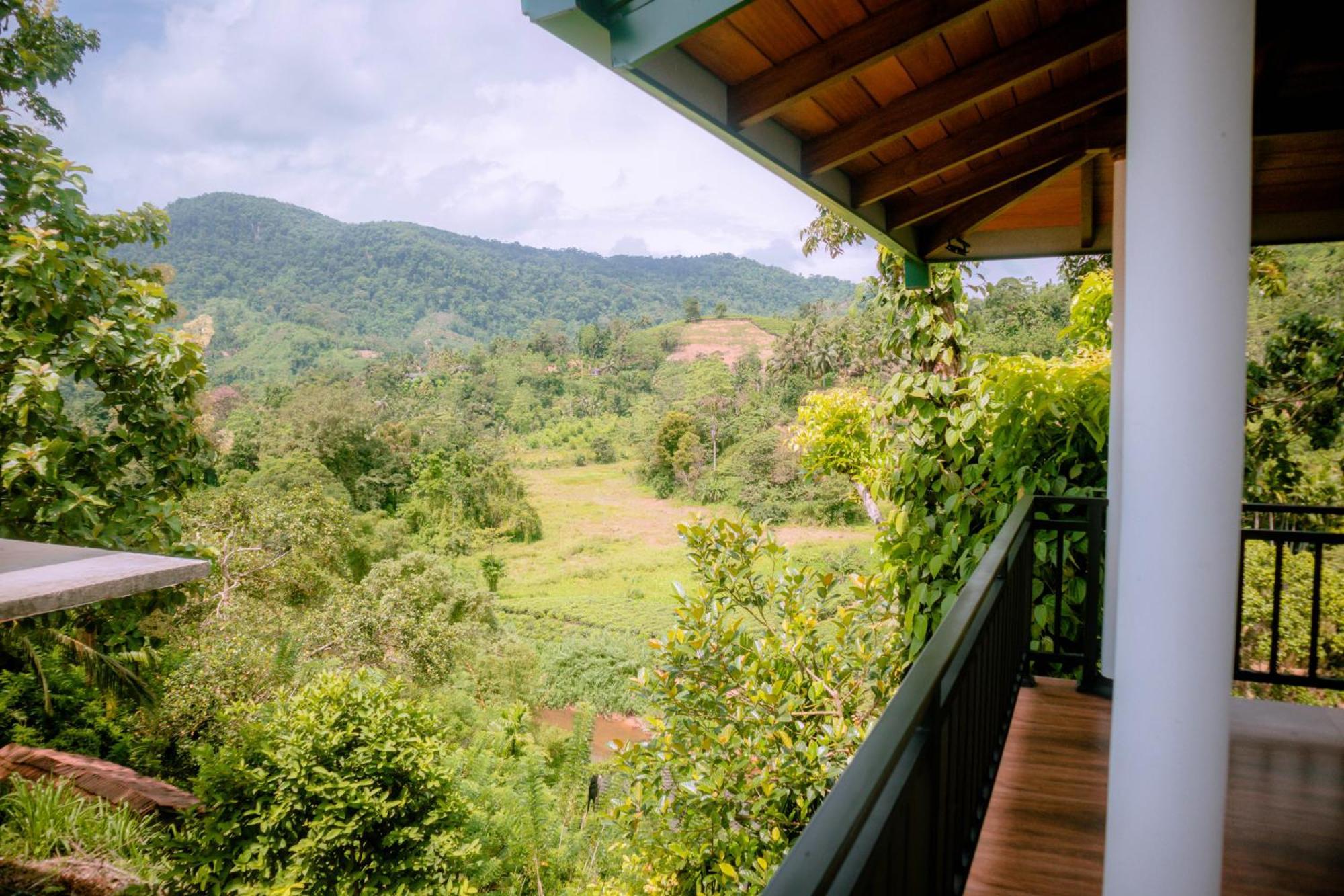 Evergreen Villa - Sinharaja デニヤヤ エクステリア 写真